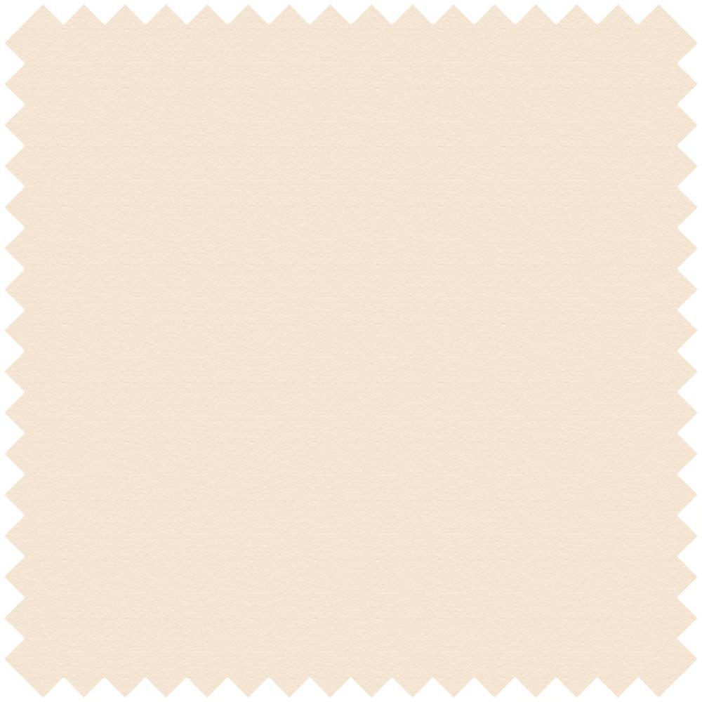 BASIC DIMOUT FR BEIGE-01.65115/09